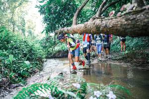 BIB: 
                            <button type="button" onclick="openModal(25465013)" class="btn btn-primary btn-sm float-right btn-popup" data-toggle="modal" data-target=".modal-high-quality">
                        <i class="fas fa-shopping-cart"></i> Add to Cart
                    </button>
                                            <button type="button" onclick="isThisMe(25465013, true)" class="btn btn-success btn-sm float-right btn-popup btn-isme hidden" data-toggle="tooltip" data-placement="bottom" title="นี่คือรูปของคุณใช่ไหม คลิกที่นี่เพื่อเอาเข้าอัลบั้ม">
                        <i class="fas fa-plus"></i> Add to album
                    </button>
                    <button type="button" onclick="isThisMe(25465013, false)" class="btn btn-warning btn-sm float-right btn-popup btn-isnotme hidden">
                        <i class="fas fa-ban"></i> Remove from album
                    </button>